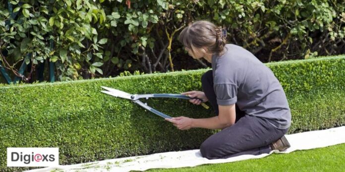 Benefits Of Shrub And Hedge Cutting