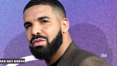Drake Net Worth