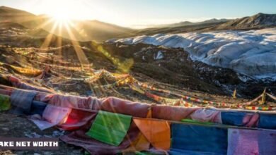 Himalayan Resting Place